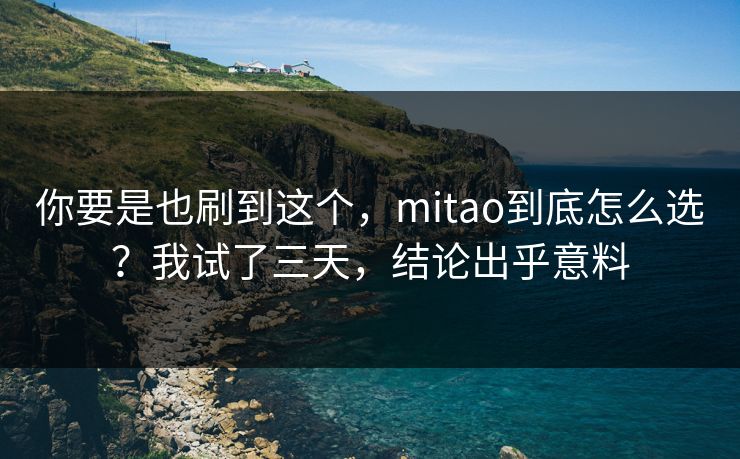你要是也刷到这个，mitao到底怎么选？我试了三天，结论出乎意料