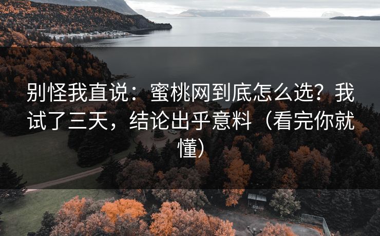 别怪我直说：蜜桃网到底怎么选？我试了三天，结论出乎意料（看完你就懂）